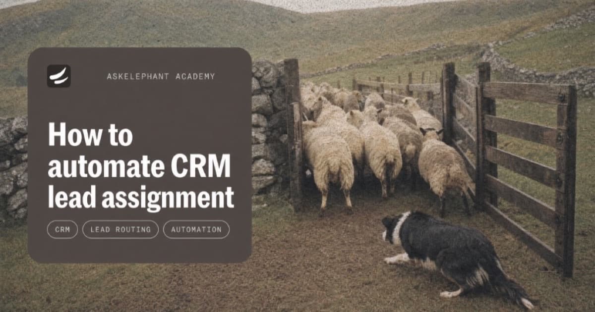 Sheepdog guiding a flock through a gate to illustrate automatic CRM lead assignment and routing