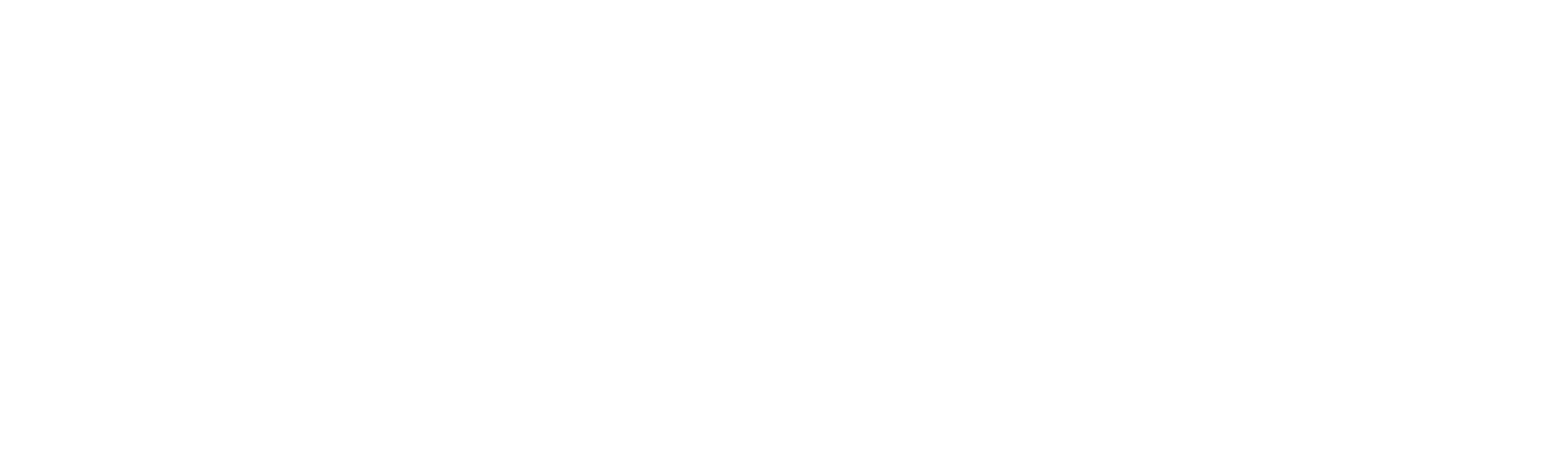 Enzy logo